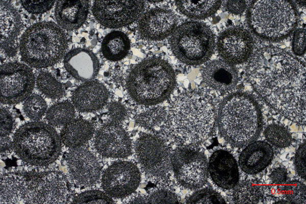 Introduction to Forensic Geology / Petrography AIPG013