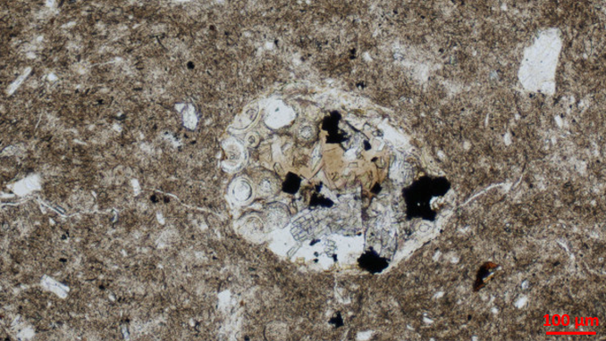 Mudrock Petrology and Pore-scale Imaging SEPM001